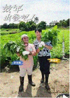 编辑推荐 慢综艺封面